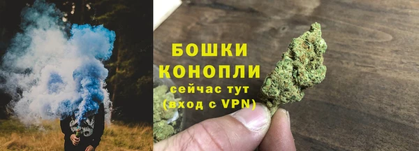 экстази Богданович