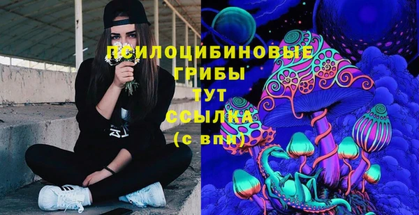ПСИЛОЦИБИНОВЫЕ ГРИБЫ Богородицк