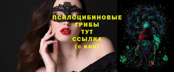 экстази Богданович