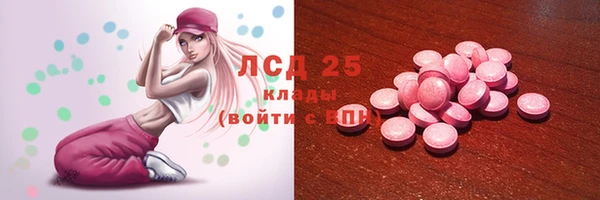 ПСИЛОЦИБИНОВЫЕ ГРИБЫ Богородицк