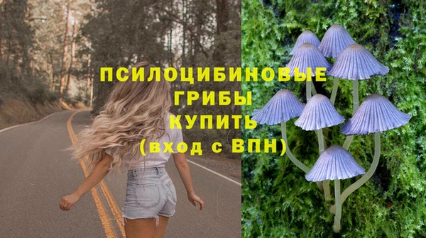 винт Белокуриха