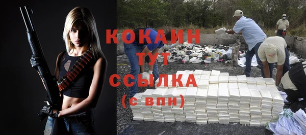 молекула духа Снежногорск