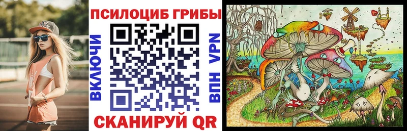 Псилоцибиновые грибы GOLDEN TEACHER  сколько стоит  Бородино 